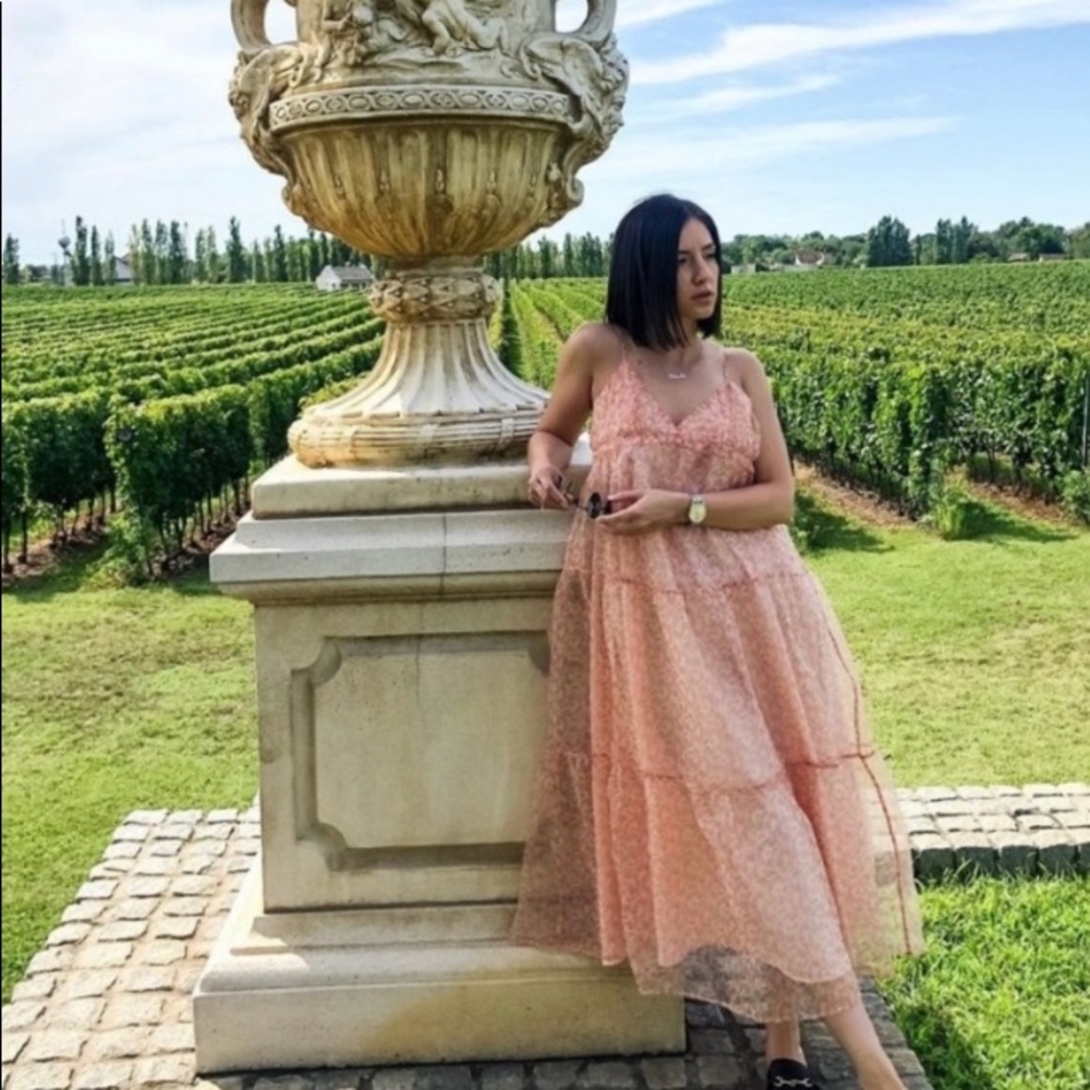 Zara dress